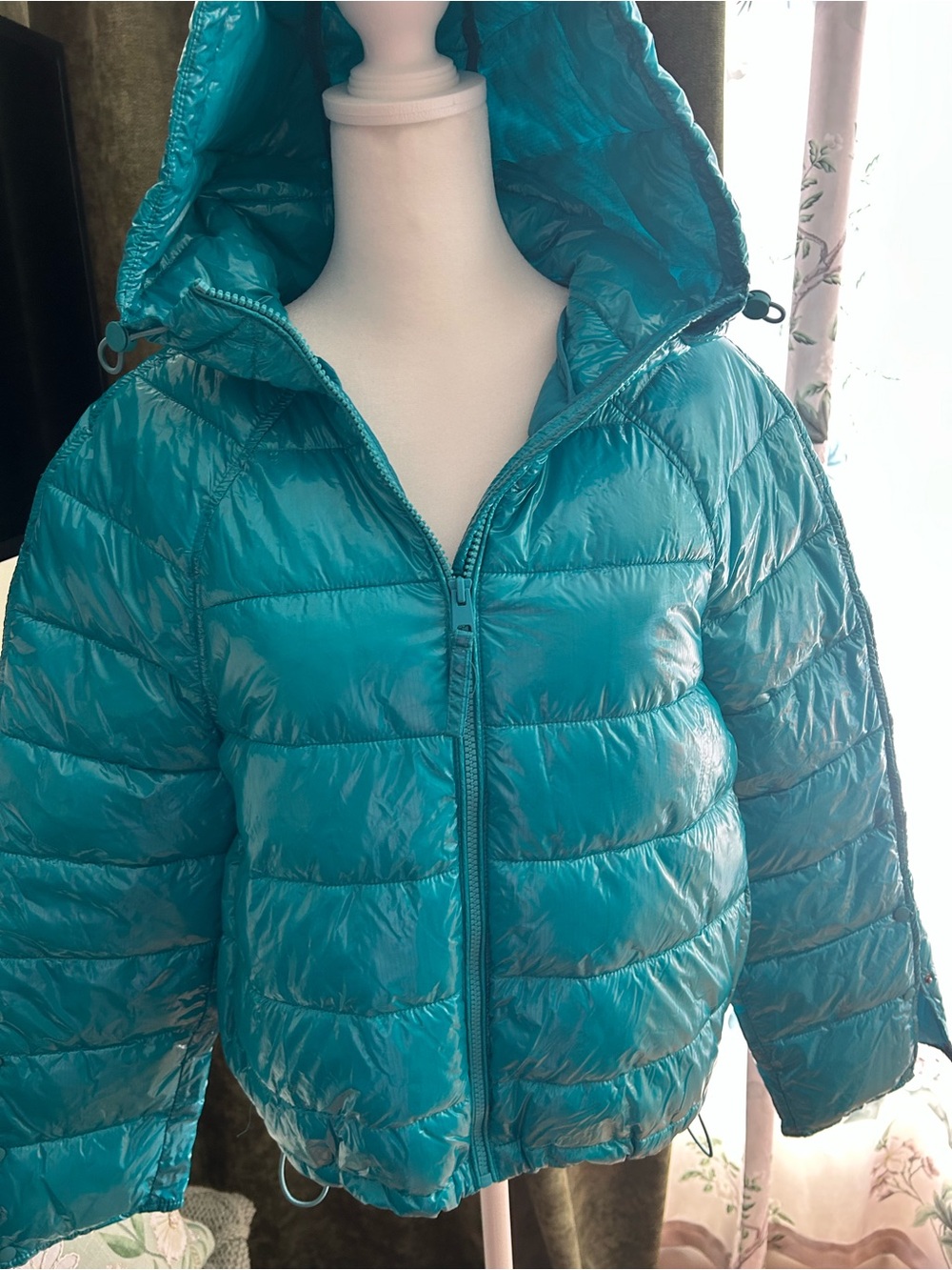 Puffer down Jacket with Hood